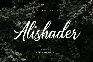 Alishader: The Modern Typeface That Elevates Brand Identity