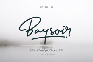 Baysoir: The Signature Typeface for Scroll-Stopping Marketing