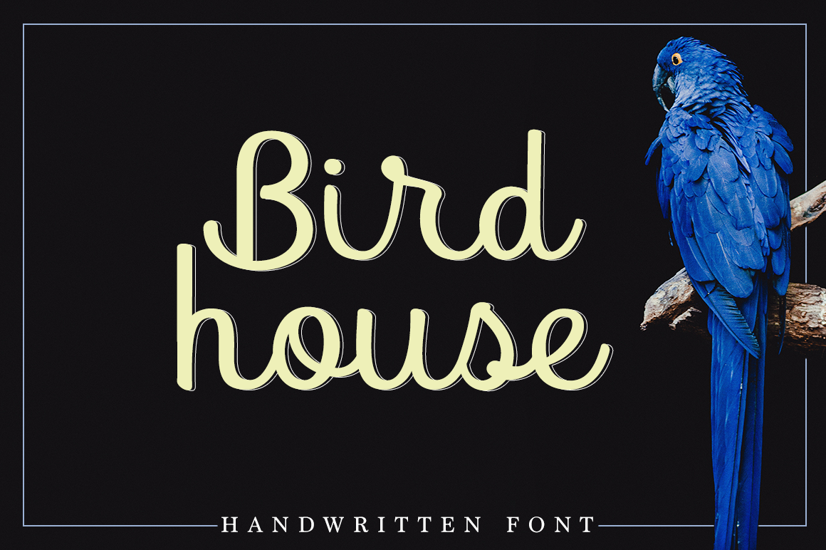 Bird House: The Script Font That Elevates Your Brand