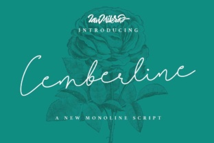 Cemberline: The Flowy Monoline Typeface for Modern Makers