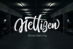 Nettizen: A Modern Script Font for Bold Campaigns